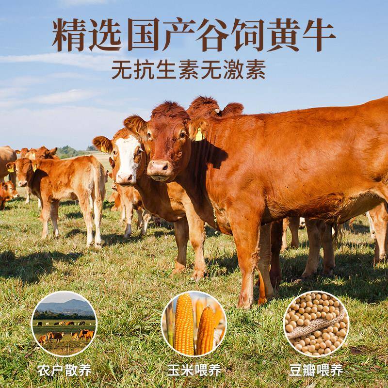 新品牛肉新鲜多肉牛窝骨带肉黄牛肉牛膝盖骨带筋牛大骨头生鲜火锅