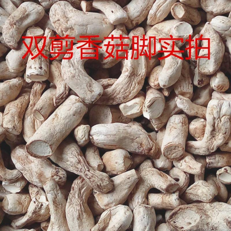 香菇脚干货商用500g干香菇根双剪干香菇腿大香菇脚丁云南香菇菌脚