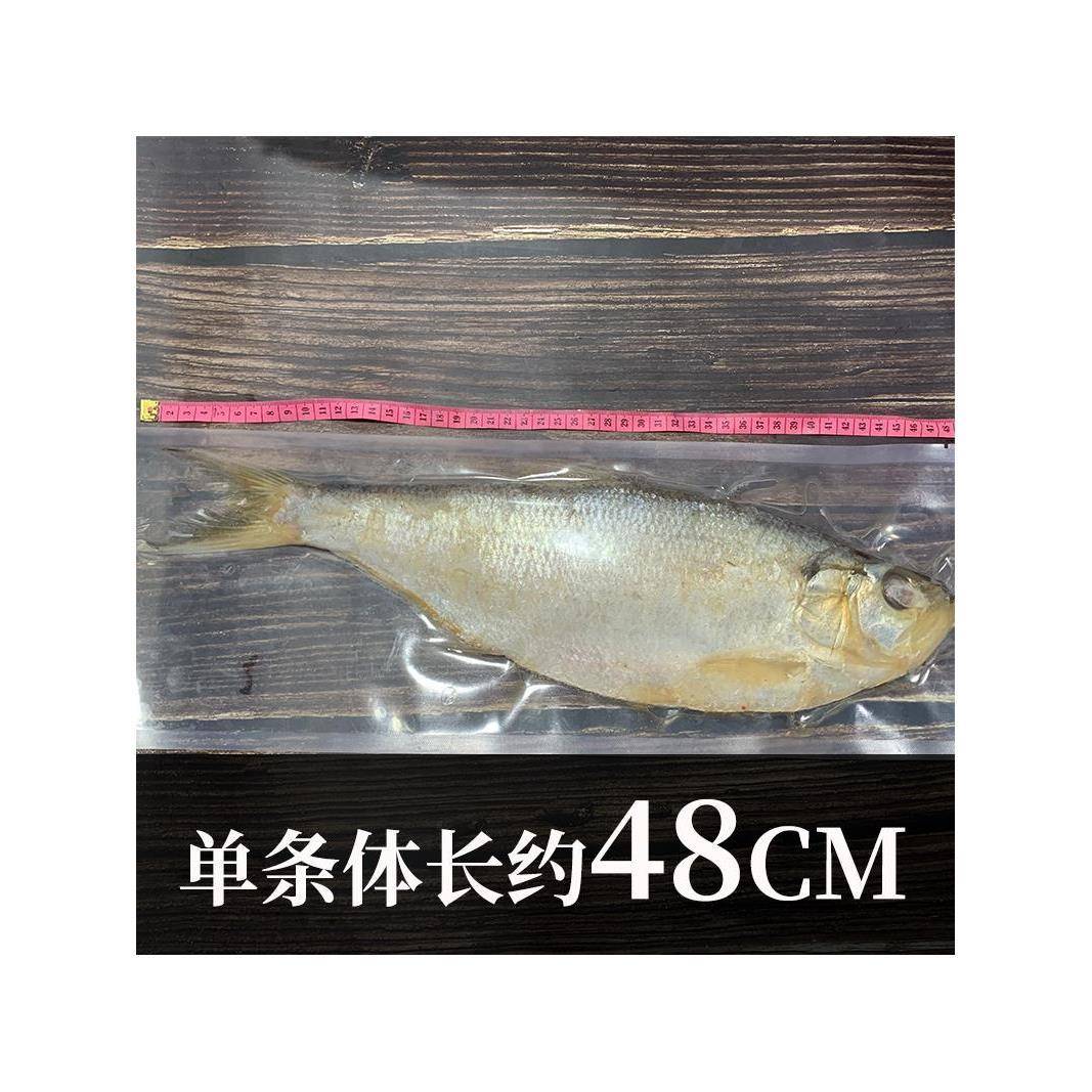 大号咸鳓鱼腌制白鳞臭霉香力鱼海鲜干货农家自制特产