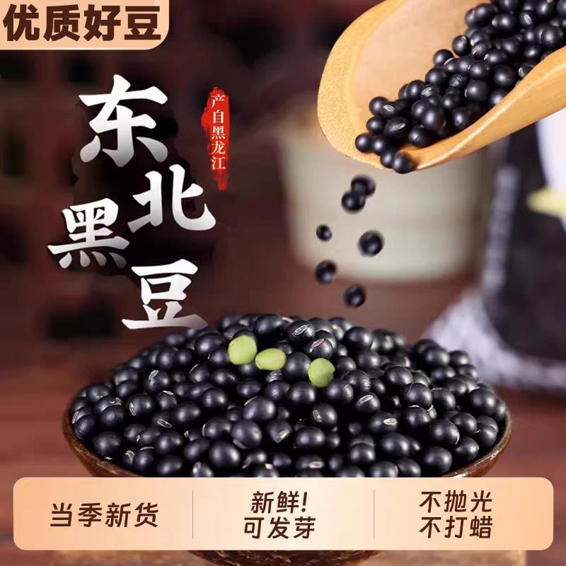 东北绿心黑豆新货农家正宗