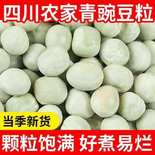 农家生青豌豆干货5斤新货干豌豆粒发豆芽专用大青豆绿麦豆子新鲜