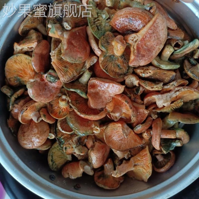 野生松菌,松乳菇干品当季,