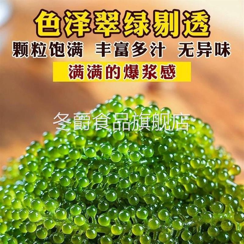 儿童海葡萄即食鱼子酱小孩