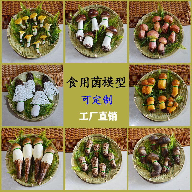 仿真食用菌模型i假蘑菇羊肚菌牛肝菌鸡枞黄牛肝黑牛肝祖荪食物模