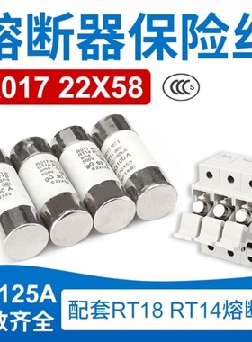 SEISO陶瓷熔芯保险丝管R01614*51熔断器芯17RT1820A25A32A40A22