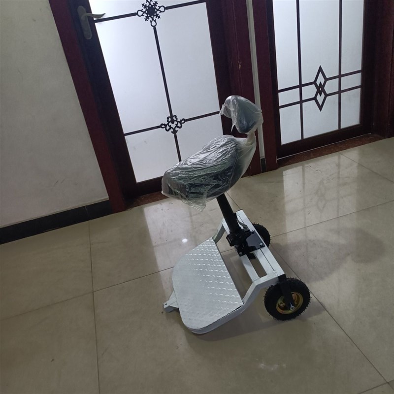 轮椅后拖车可站人可W坐双人出行
