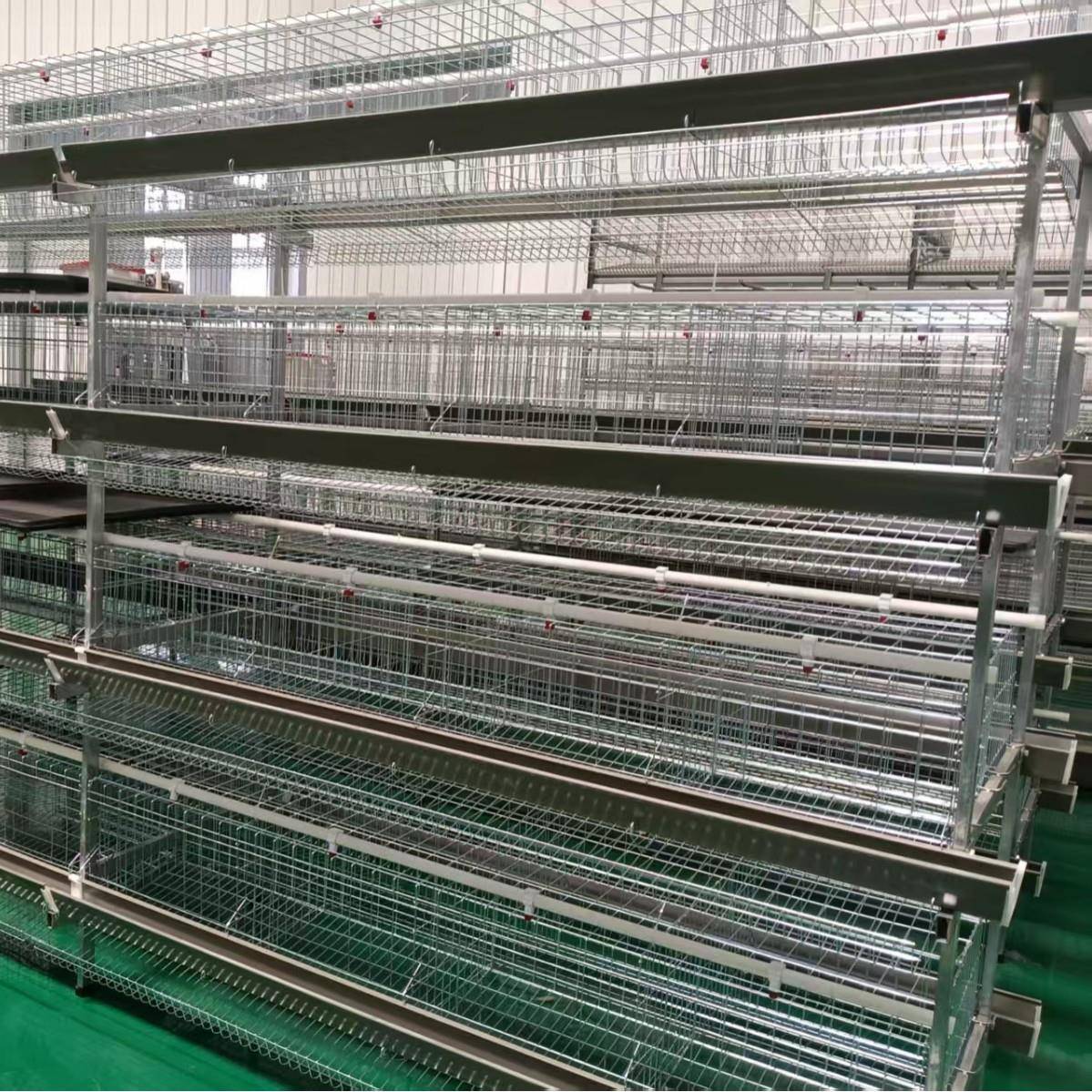 多层多门H立式简易养殖蛋鸡笼三层四门/五门四层四门/五门绿食槽