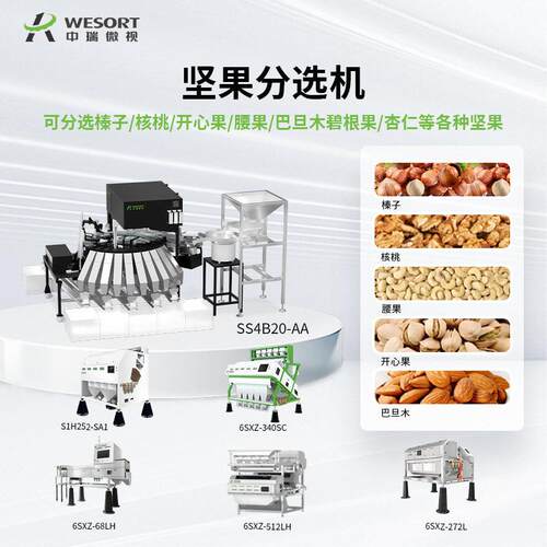多功能坚果分选机小型智能核桃腰果精选机榛子干果全自动分选设备