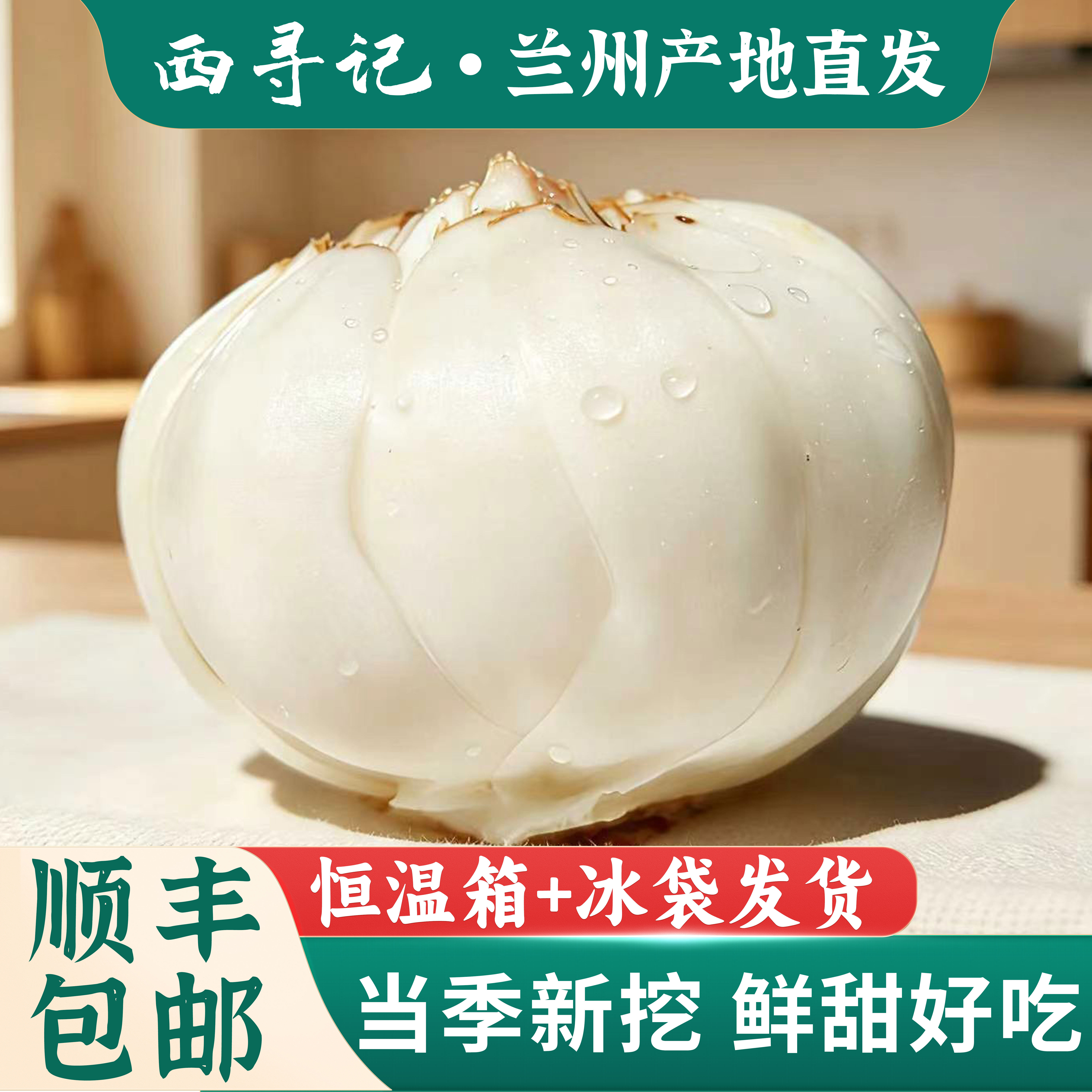 兰州百合新鲜甜百合2026正宗食用百合甘肃特产特级非干货白合包邮