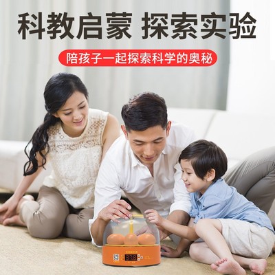 孵化器小型家用1枚全自动智能孵化机儿童迷你Q孵蛋器鸡鸭鹅孵化箱
