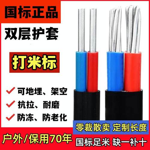 国标2芯护套线铝芯家用户外电线4/6101625平方双芯铝电缆线防老化