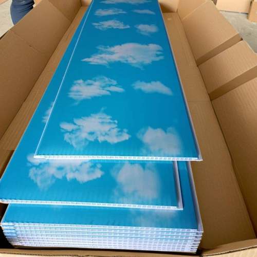 pvc塑料扣板新款蓝天屋顶装饰客厅厨房厕所卧室熟胶长条扣板自装