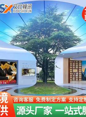 LEDDisplayScreen室内高清全彩led屏幕酒店会议舞台直播柔性屏