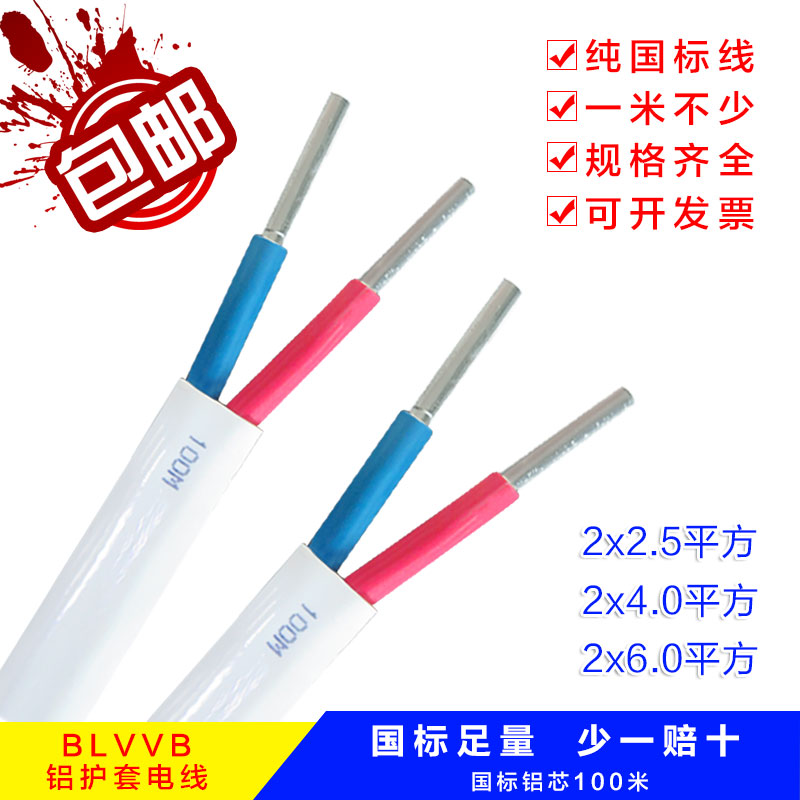 国标铝芯电缆线2.5/4/6平方家用2芯铝电线户外绝缘架空护套线