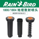 美国雨鸟1800自动1804升降散射喷头花园喷灌公园地埋草坪灌溉浇水