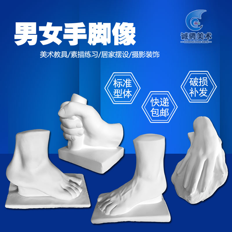 石膏手足写生素描教具男w手女足美术型体静物手足快递包损