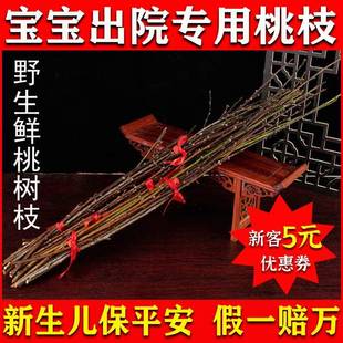 桃树枝婴儿出院宝宝新生的儿桃枝镇宅新鲜枝干挂件