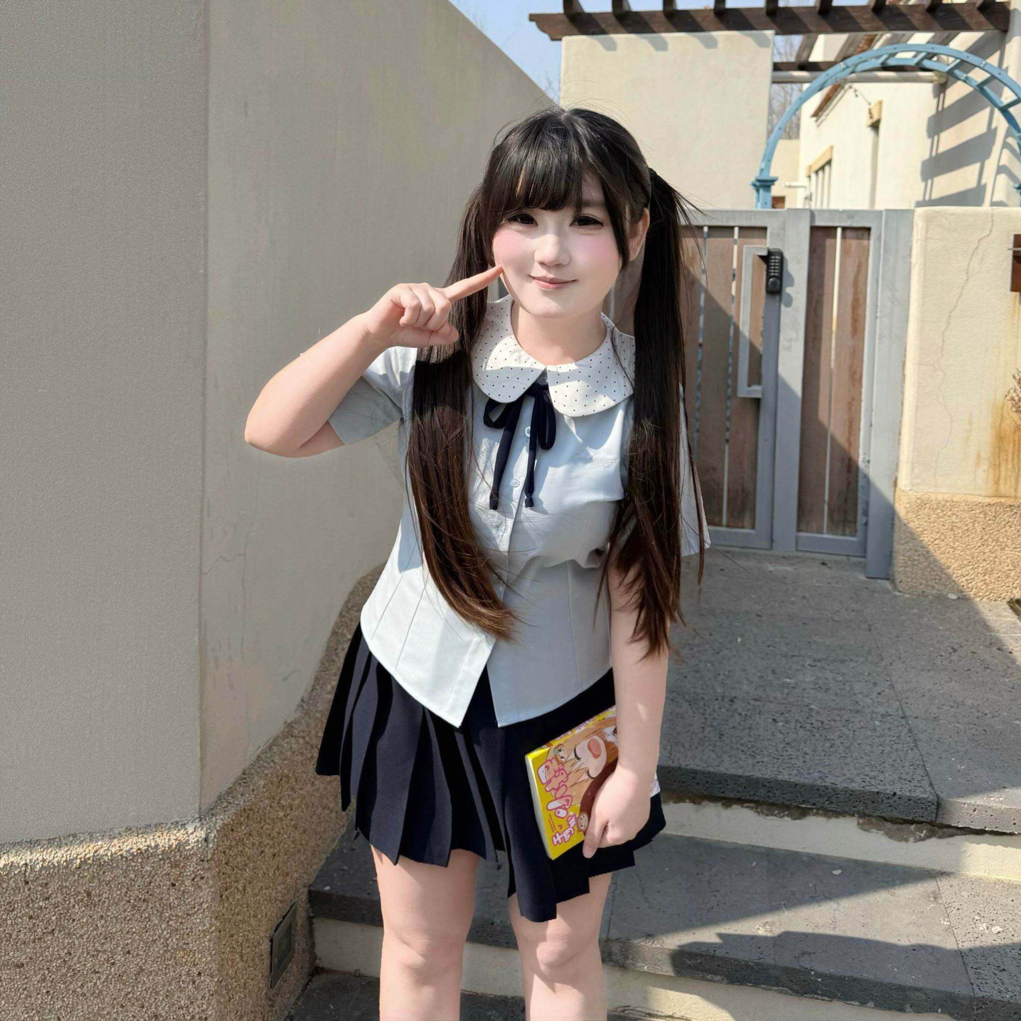 2026新款气质短袖衬衫夏季制服大码收腰衬衫蓝粉色刺绣