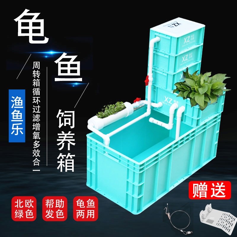 周转箱养龟箱鱼h缸龟缸过滤器乌龟饲养缸沼泽免换水生态沼泽乌龟