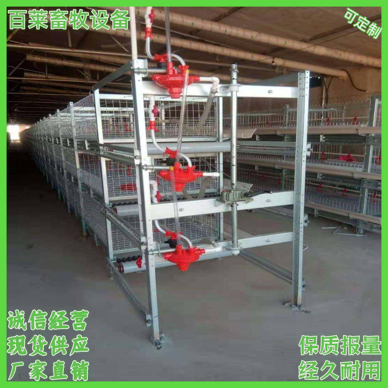 全自动化框架肉鸡笼半自动立体鸡舍镀锌养殖养鸡可供国内外,畜牧/养殖物资,特种养殖设备,淘宝优惠券,粉丝福利购,淘宝优惠卷