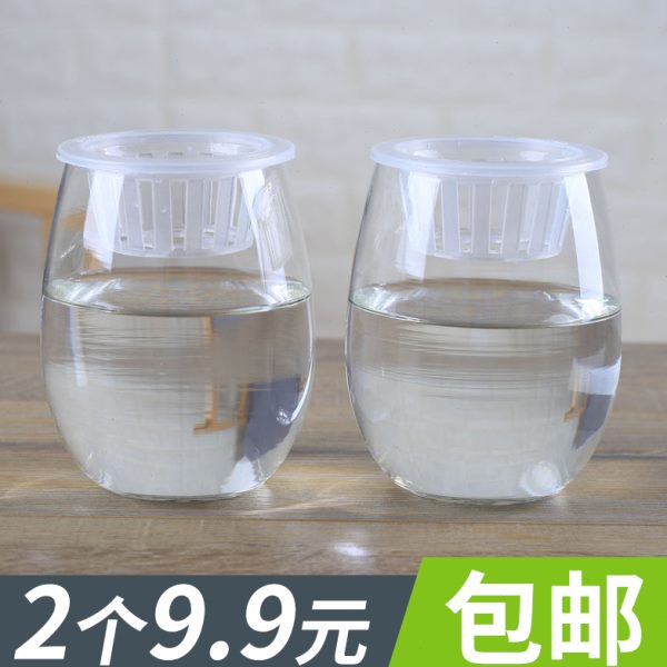 2个9.9元简约透明玻璃花瓶水培植物绿萝花瓶铜钱草花盆桌面插花瓶