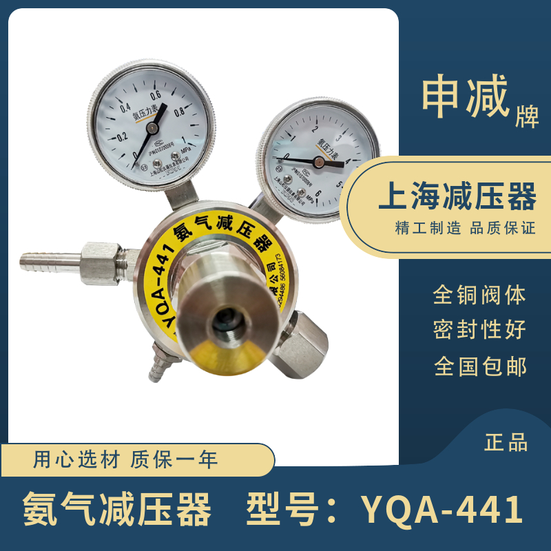 YQA-44d1/401氨气减压器304不锈钢减压阀1*6MPa耐腐蚀上海氨压力