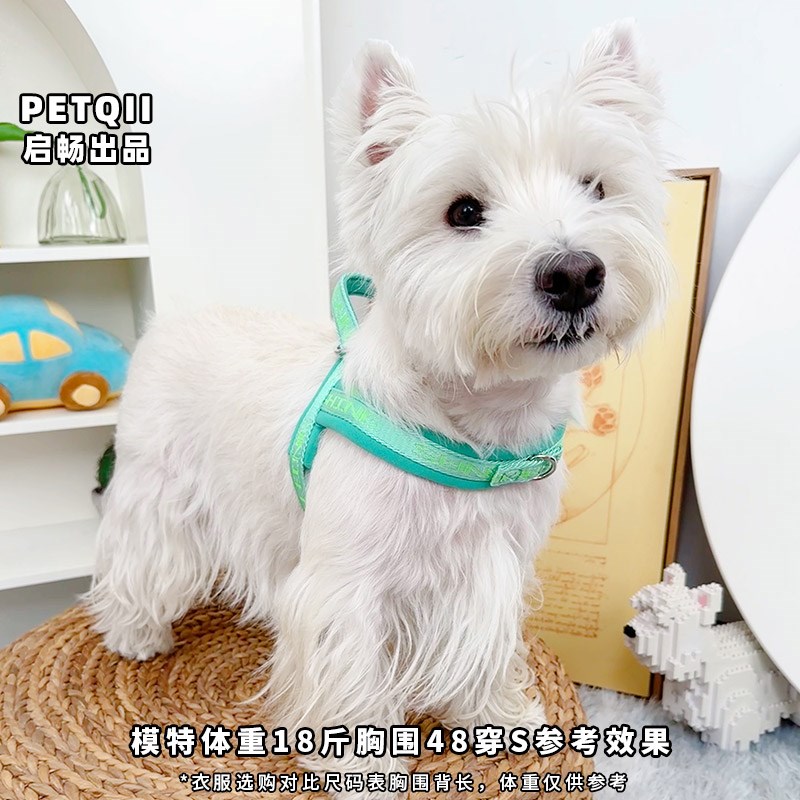 狗狗牵引绳狗绳狗链遛狗绳宠物胸背泰迪比熊西高地柯基雪纳瑞背带
