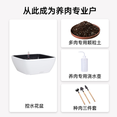 多肉专用花盆懒人自吸控水盆大口径植物创意造景食虫捕蝇草盆栽盆