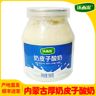 内蒙古多层厚奶皮子酸奶浓稠厚580g小罐装牛奶发酵嚼着吃奶皮酸奶