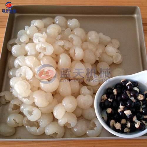 天用电WNP动桂圆去核机 不钢龙眼去核机器 荔枝去商核蓝设备锈生