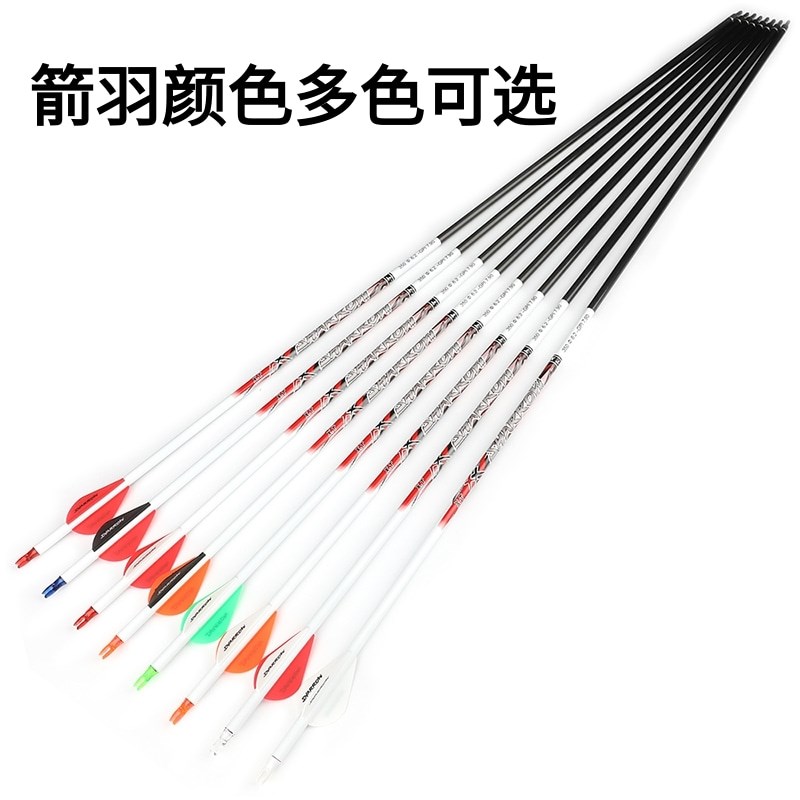 复合弓反曲弓千三XT纯碳u箭射箭练习比赛专用碳素箭户外射击箭矢