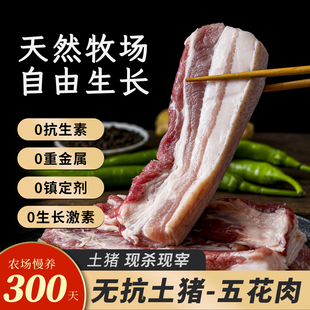 正宗精品五花肉农家散养新鲜五花肉生猪肉现杀顺丰土猪肉黑白毛猪
