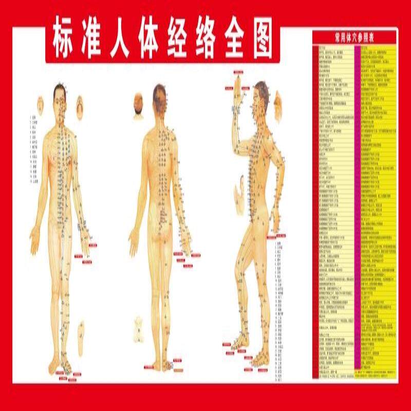 标准人体经络全图海报展板中医人体穴位图神奇的经络挂图装饰画