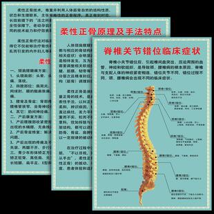 脊椎关节错位临床症状医院脊柱全貌图柔性正骨原理及手法特点海报