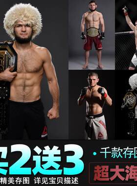 可客制化UFC格斗明星海报 MMA拳击主题现代风格壁纸 60x90cm多色