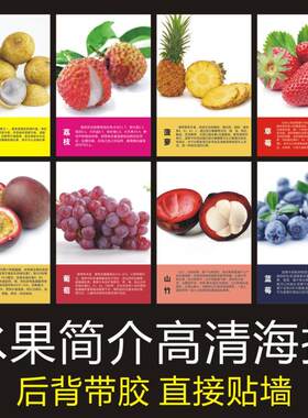 自粘水果店鲜果广告创意玻璃门布置装饰用品贴画壁纸墙纸海报绿色