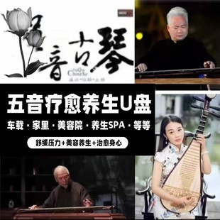 国乐五音疗愈U盘无损纯s轻音乐茶室静心养生古琴古筝琵琶陶笛车载