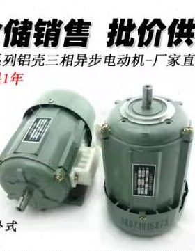 W7VW6  1303707J  Y    铜线386电机137配件 S 现货YWW6-S 13