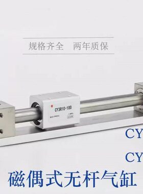 1YRY30Y340CHCM9B-2040100- L无杆气缸- 3RGR5A930006600-1-C /S0