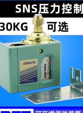 0/SAS10C空压机SX11/6压力开关-13CC/C0/气动1203控制器NS10 气泵