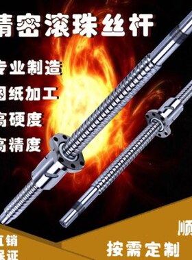 16套FS120S 2005S40直线滑台静音160组S4滚珠丝杆5微型K 定制FFU