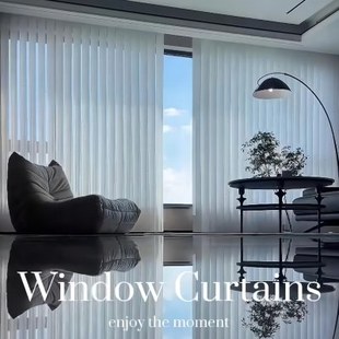 网红手动客厅垂帘电动直百叶窗帘梦幻重庆百叶世典语音智能阳台竖