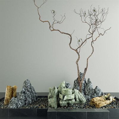 枯树大型造型马醉木树装饰真树干黄柏树大型落地造景装饰干树枝