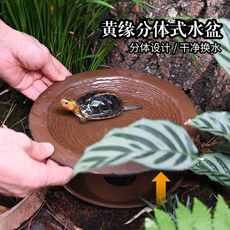 爬宠清洁及日用品