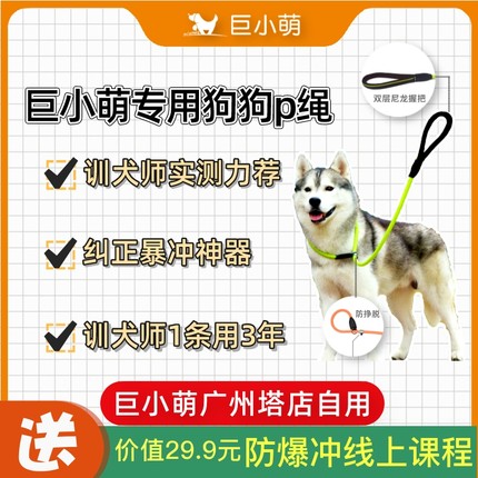 巨小萌狗绳狗f链p链p绳遛狗牵引绳训练防爆冲柯基金毛中型犬大型