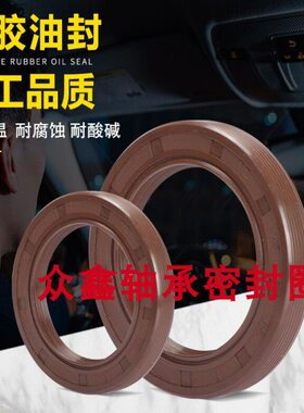 48氟胶骨架油封6548 *748656 **65*KK480Kx8*65   9耐高温48x1xx