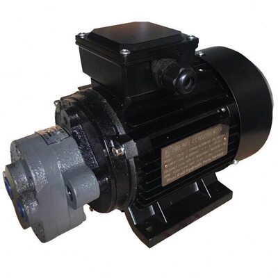 13叶片泵W0//755电机润滑泵10泵柱CBK4W齿轮泵油泵-塞4 2.5-/6