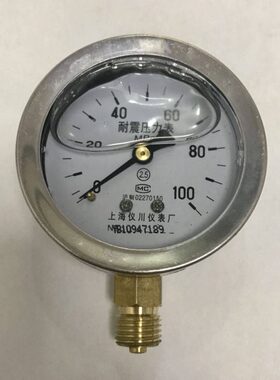 直x1 螺纹径外壳14 径向606耐震压力表.60m6mmN Ymm10mpa5  -02 9