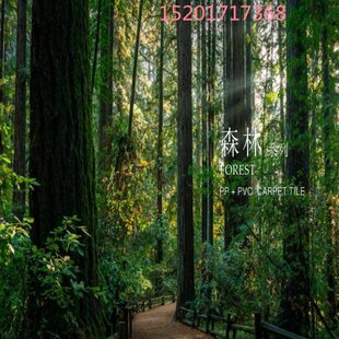 长条商用地毯 地毯会议室道成办公室地毯满铺厅台球森林写字楼