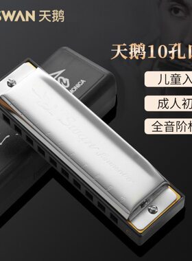 天鹅#/F#/D/E/鲁斯/F/B/D/孔蓝C#/12/C#/A初学者口琴G调A#G布调10